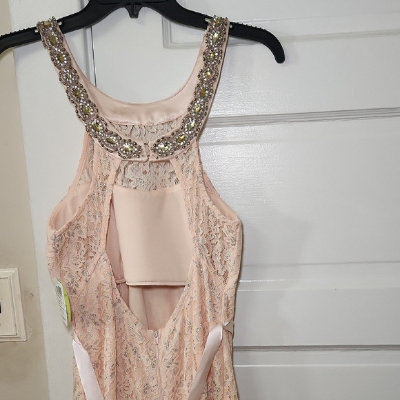 Sequin Hearts Light Pink Lace Maxi Dress - Picture 4 of 8